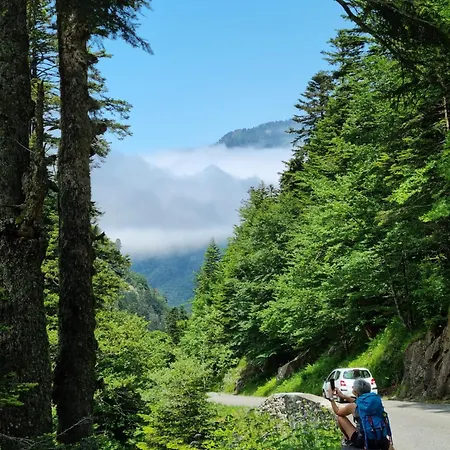 Cesar De Standing Plein Centre Cauterets