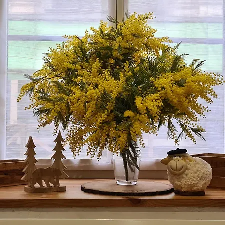 Cesar De Standing Plein Centre Cauterets