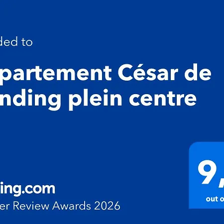 Διαμέρισμα Cesar De Standing Plein Centre