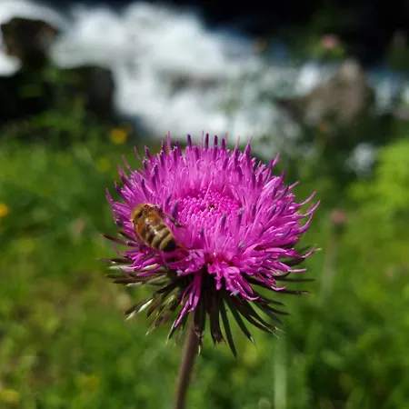 アパート Cesar De Standing Plein Centre