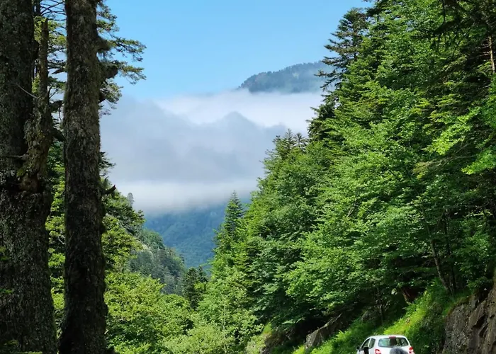 Cesar De Standing Plein Centre Котре