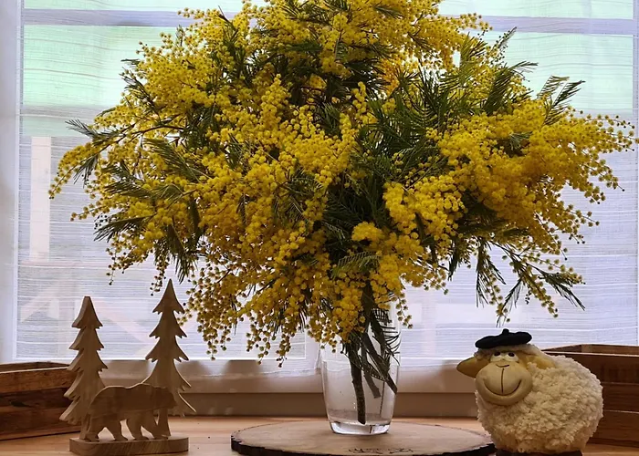 Cesar De Standing Plein Centre Котре