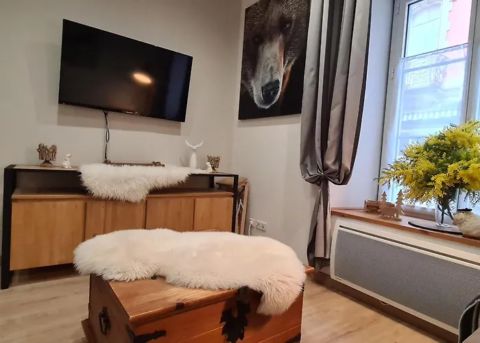 Cesar De Standing Plein Centre アパート